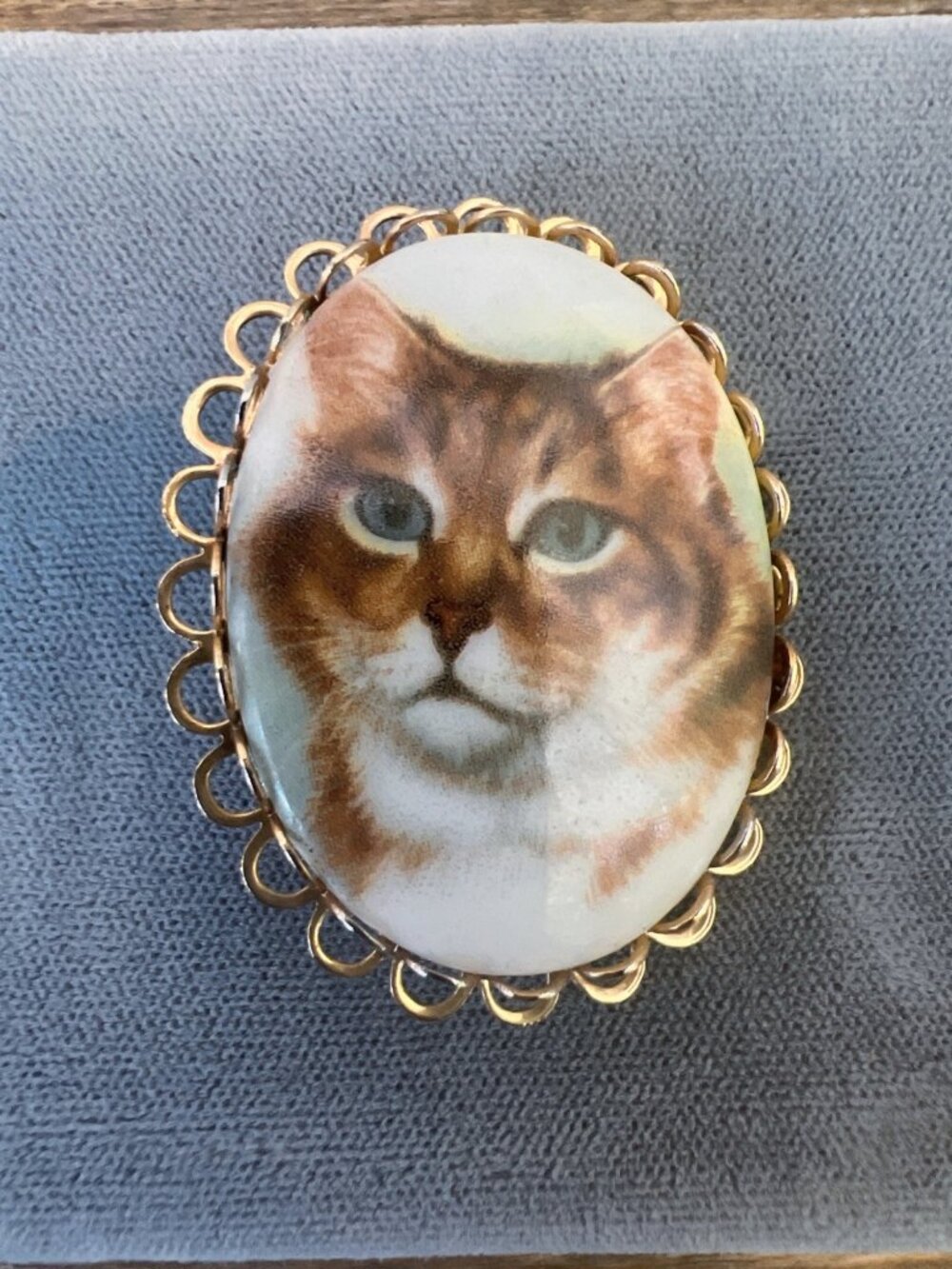 Vintage Cat Portrait Oval Brooch With Gold Tone Scalloped Frame - Handcrafted
